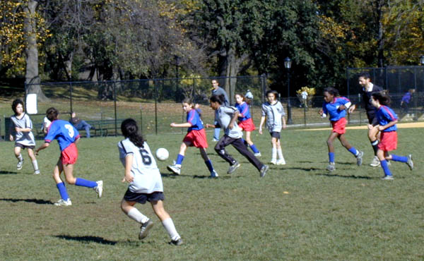 crop1.jpg (69007 bytes)